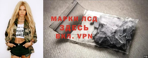 гашик Семилуки