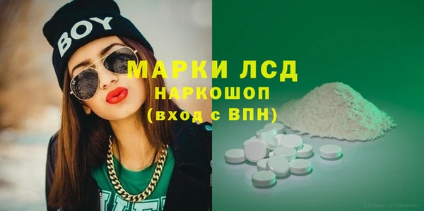 гашик Семилуки
