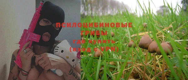 гашик Семилуки