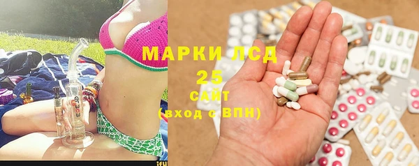 гашик Семилуки