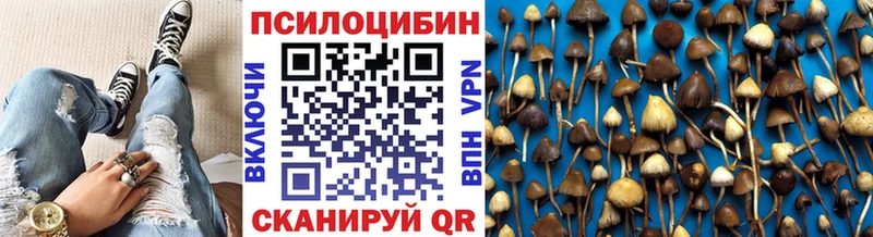 Галлюциногенные грибы Psilocybe  Копейск 